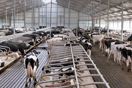 УРАЛПЛЕМЦЕНТР